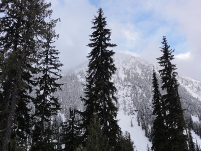 British Columbia 2013 - Monashee mountains