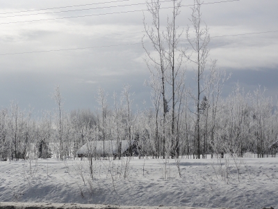North America 2013 - Road to Alaska