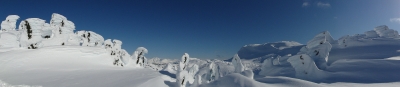 Alaska 2013 - Juneau